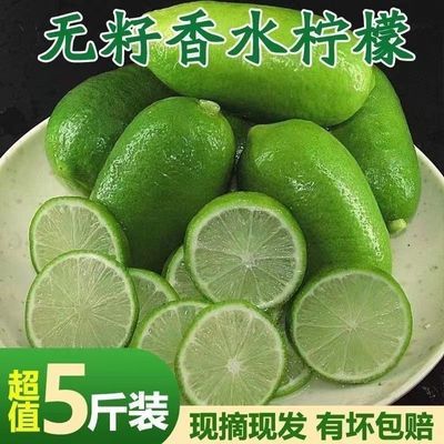 广西无籽香水一级青柠檬新鲜水果清香型孕妇水果奶茶店摆摊专用