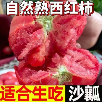 山东普罗旺斯西红柿沙瓤新鲜大番茄自然熟粉柿子蔬菜2/5斤装包