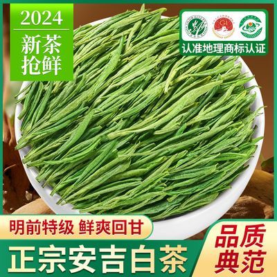 恋凝香明前特级安吉白茶2024新茶叶 头采一芽一叶高山绿茶浓