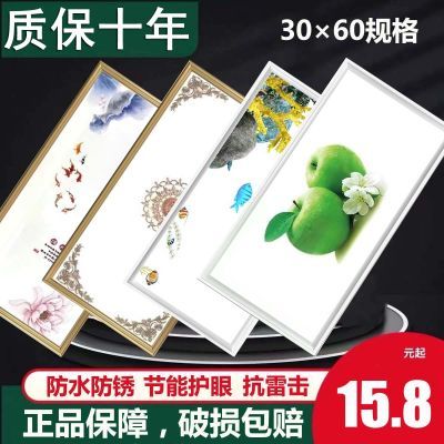 集成吊顶led灯30x60厨房灯洗手间灯嵌入式长方形吸顶灯300600扣板