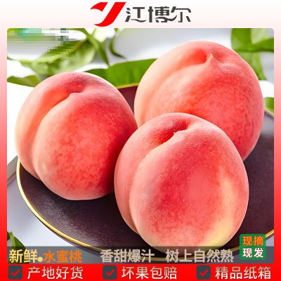 【运城水蜜桃】脆甜桃子原产地整箱水果当季高山时令毛桃新鲜脆桃