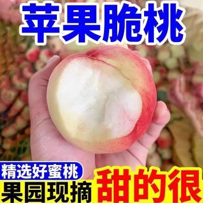 陕西脆甜大桃子红不软脆桃硬桃子水蜜桃大果时令新鲜水果整箱批发