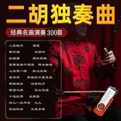 二胡经典独奏纯音乐U盘名曲二泉映月牧羊曲渴望车载音箱300mp3曲