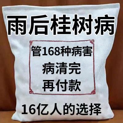 桂花叶子干尖焦尖【急救液】专用药桂树叶斑病黑斑病黄叶病通用型