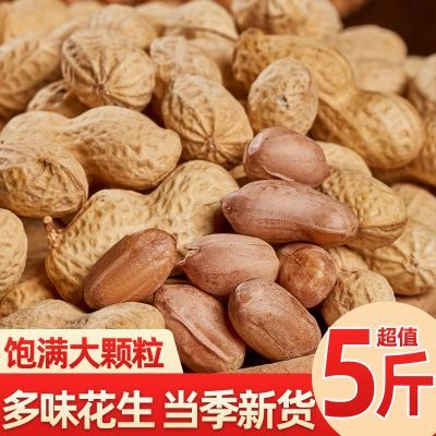 新品农家原味五香花生米带壳卤味蒜香花生保鲜即食零食批发下酒菜