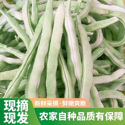 【农家自种】新鲜白芸豆角白不老四季豆应季蔬菜