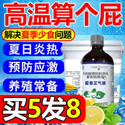 兽用冰爽VC水大瓶藿香正气防暑降温抗应激鸡鸭鹅牛羊猪用清凉一夏