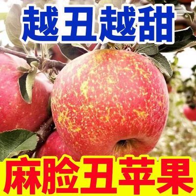 【麻脸爆甜】冰糖心丑苹果新鲜水果应季红富士当季吃脆甜整箱批发