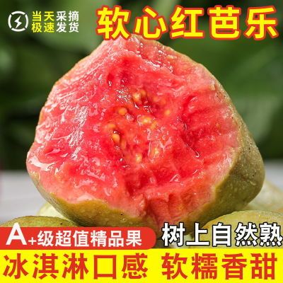 【精品】广东红心番石榴当季新鲜水果香软芭乐香甜软糯鸡屎果整箱