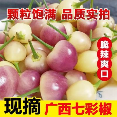 2024当季广西七彩椒椒送饭粥佳品五彩泡椒酱油灯笼辣椒一整箱包邮