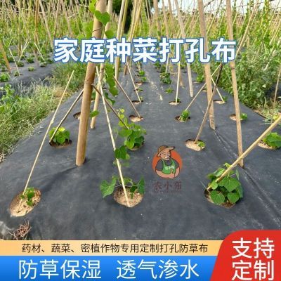 药材蔬菜鲜花育苗新型定制打孔防草布除草保湿透水农用有孔地布膜