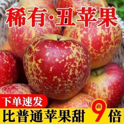 【超甜冰糖心】正宗大凉山丑苹果脆甜应季新鲜水果红富士整箱批发