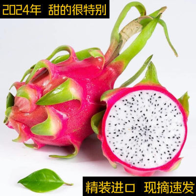 越南进口白心火龙果老树自然果薄皮大果甜蜜多汁夏季水果整箱礼盒