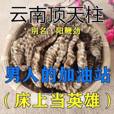 【顶天柱+婬花果】云南野生回春草 腾冲特产 不老草泡茶泡酒料