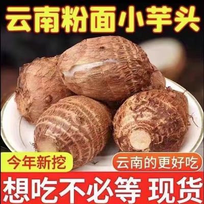 2024现挖云南新鲜牛奶小芋头毛芋头当季蔬菜芋头仔芋艿粉糯丝滑