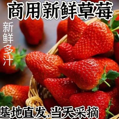 【闪电发货】云南夏季草莓新鲜商用批发价奶茶烘焙冰糖葫芦一整箱