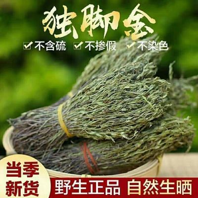 野生独脚金草疳积草小儿开胃汤短脚独角金煲汤中药材2023新鲜干货