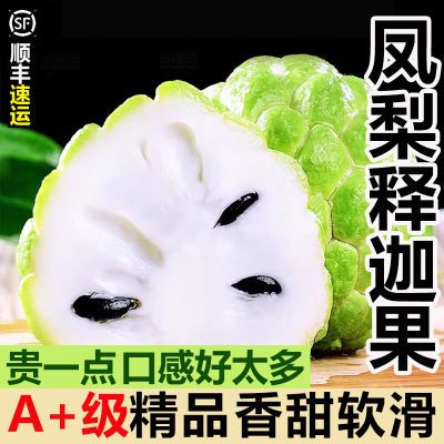 【顺丰包邮】牛奶凤梨释迦果5斤新鲜水果当季现摘整箱番荔枝包邮