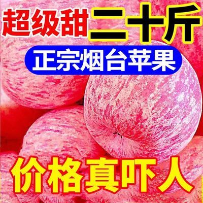 高品质烟台红富士苹果脆甜应季新鲜山东栖霞苹果水果批发整箱包邮