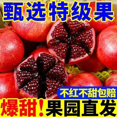 云南大理突尼斯软籽石榴【大降价】无籽水晶新鲜水果当季整箱包邮