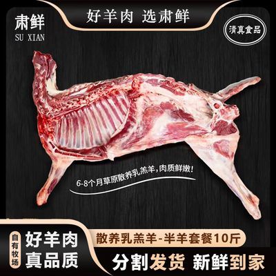 肃鲜半羊整羊全羊肉新鲜现杀半只羊羊后腿肉羊肋排羊蝎子前腿清真