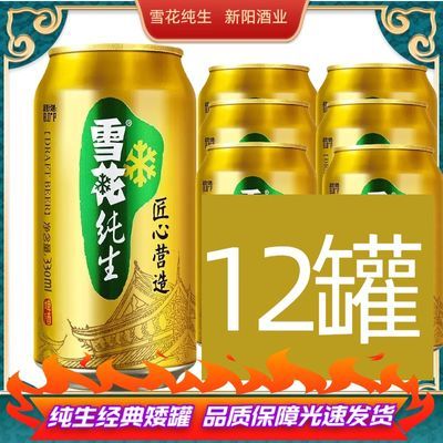 24年雪花纯生啤酒矮罐330毫升12罐6罐整箱匠心营造金标清仓非原箱