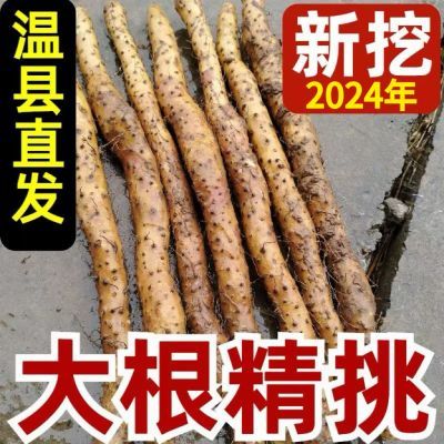 正宗铁棍山药焦作温县特产新鲜垆土怀山药批发非淮山药铁杆原产地