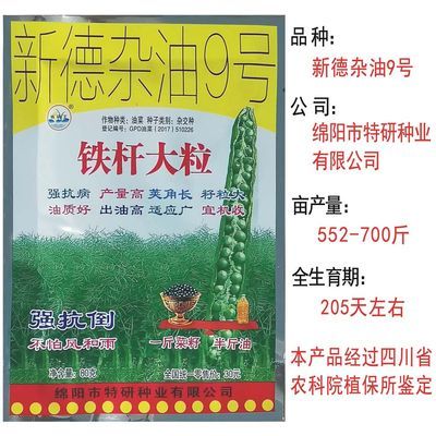 正宗新德杂油9号油菜种子矮杆耐寒抗倒早熟杂交高产油菜籽出油高