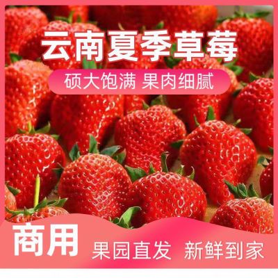 新鲜草莓红颜商用当季牛奶孕妇整箱烘焙奶油现摘现发云南夏季草莓