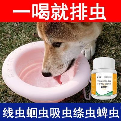 强效百虫铩狗狗猫咪鸡鸭鹅宠物打虫通用跳蚤虱子蛔线虫内外驱虫药