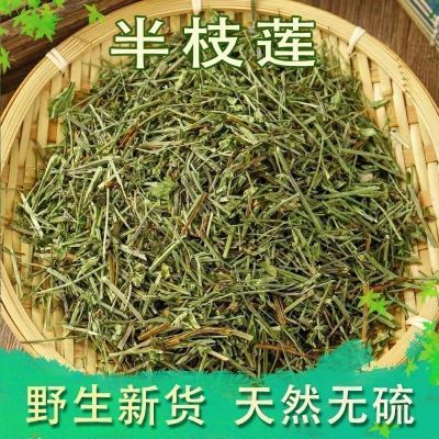 中药材半支莲半枝莲挖耳草通经草可搭配白花蛇舌草