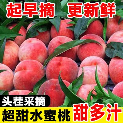 桃子现摘应季毛桃脆甜好吃孕妇水果水蜜桃带箱6斤