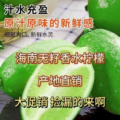 海南无籽香水柠檬新鲜正宗青柠檬专用当季大果暴打整箱批发奶茶店