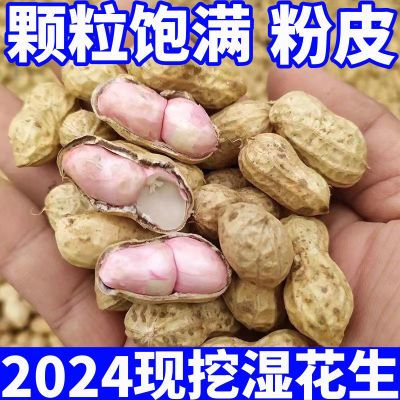 2024年新鲜湿花生正宗河南新鲜花生泥巴沙白落生现挖现发带壳粉皮