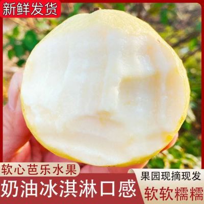 广西心软白心芭乐番石榴软心香甜红心应季当季新鲜水果白软鸡屎果
