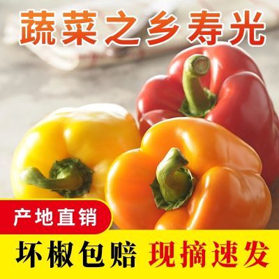 彩椒不辣网红不辣水果减脂食品五彩甜椒菜椒新鲜减脂生吃微甜可口