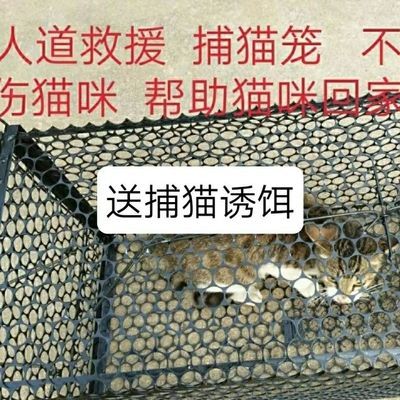 捕猫笼抓猫笼大号捕猫神器全自动捉猫笼家用寻猫笼流浪猫救助笼