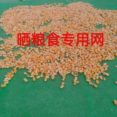 晒谷网小麦稻谷各种粮食专用厚网透气不漏方便方便收取抗晒耐风化