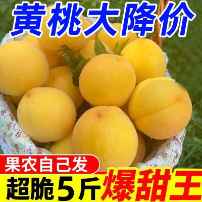 【超甜】锦绣黄桃正宗山东蒙阴桃子红心纯甜新鲜现摘应季整箱批发