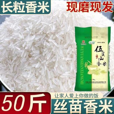 大米50斤装 24年现磨长粒香米南方煲仔饭籼米丝苗米批发商用农家