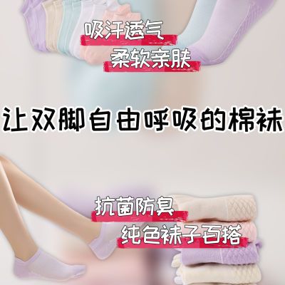 10双舒适夏季透气柔软纯色学生女生艾草防臭情侣款透明款袜子船