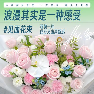 云南昆明直发鲜花粉玫瑰蓝星花康乃馨混搭爆款七夕见面花束批发价