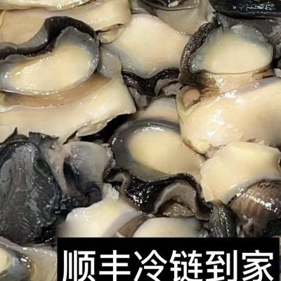 田螺肉商用批发新鲜螺肉 新鲜螺丝鲜活罗丝肉大个田螺肉冷冻