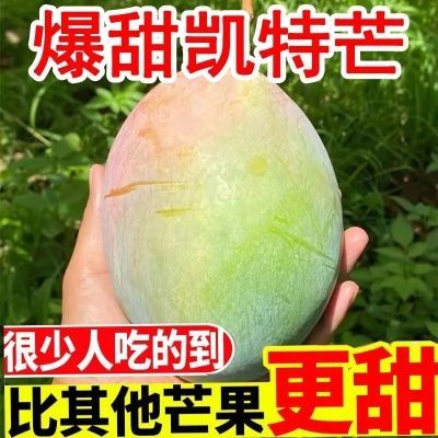 【批发价】攀枝花凯特大芒果批发应季新鲜孕妇水果5/9斤装整箱