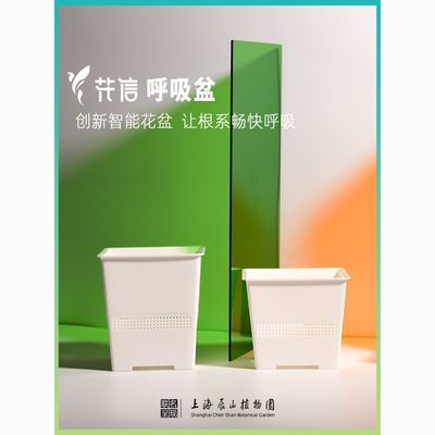 花信呼吸盆控根盆花盆蝴蝶兰多肉四方形方盆花盆透气透明花盆耐用