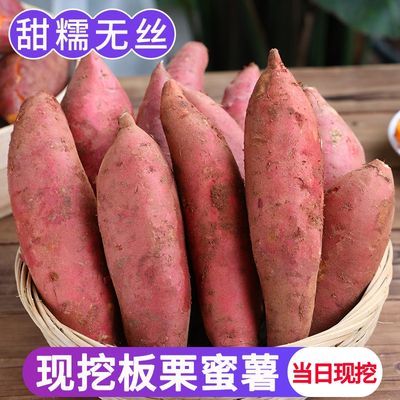 【正宗西瓜红】新鲜西瓜红蜜薯板栗红薯地瓜农家自种糖心番薯