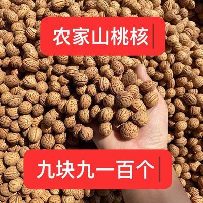 山桃核 圆桃核 文玩桃核 脑纹桃核手穿桃核原料