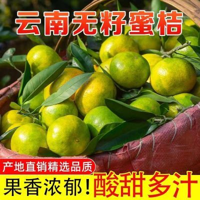 2024当季鲜果蜜桔薄皮无籽新鲜蜜桔青皮当季应季孕妇水果酸甜