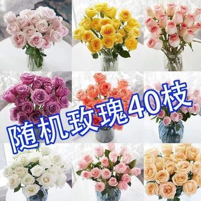 【超级低价】昆明鲜花玫瑰花花束香水百合向日葵基地花材直发直批