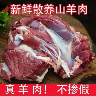 新鲜羊肉去骨羊肉现杀去骨羊肉馅非羊腿肉煲汤食材